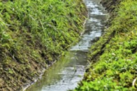 stream
