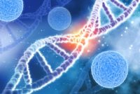 DNA / genetics