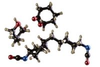 Polyurethane Model