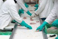 Poultry processing line