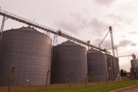 Grain storage