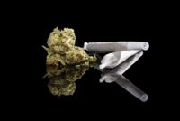 Marijuana