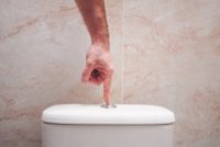 Toilet flush