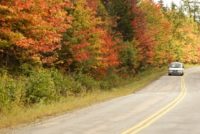 Autumn drive