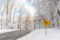 A deer crossing street sign on an icy road