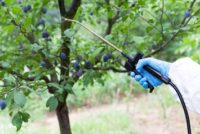 Pesticide spraying and application