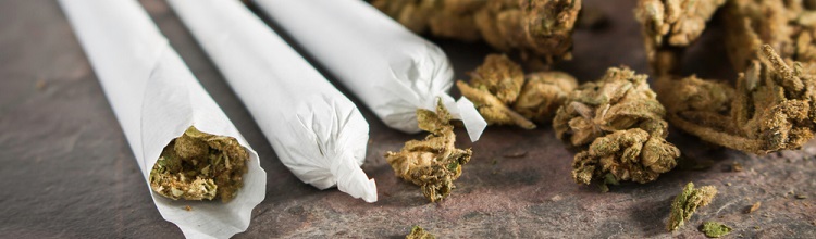 Cannabis, marijuana