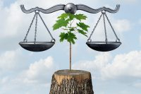 Environmental justice, law, and regulation