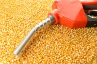 RFS, corn, gas, biofuel